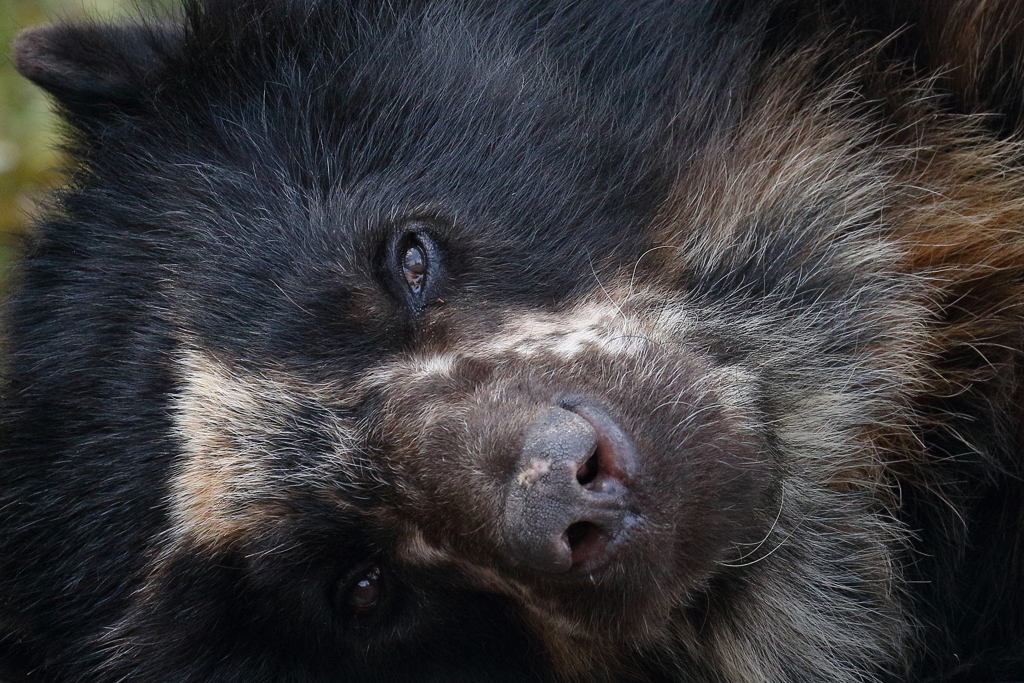 EYE lave you - 3　蔵出