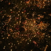 クリスマスツリー 