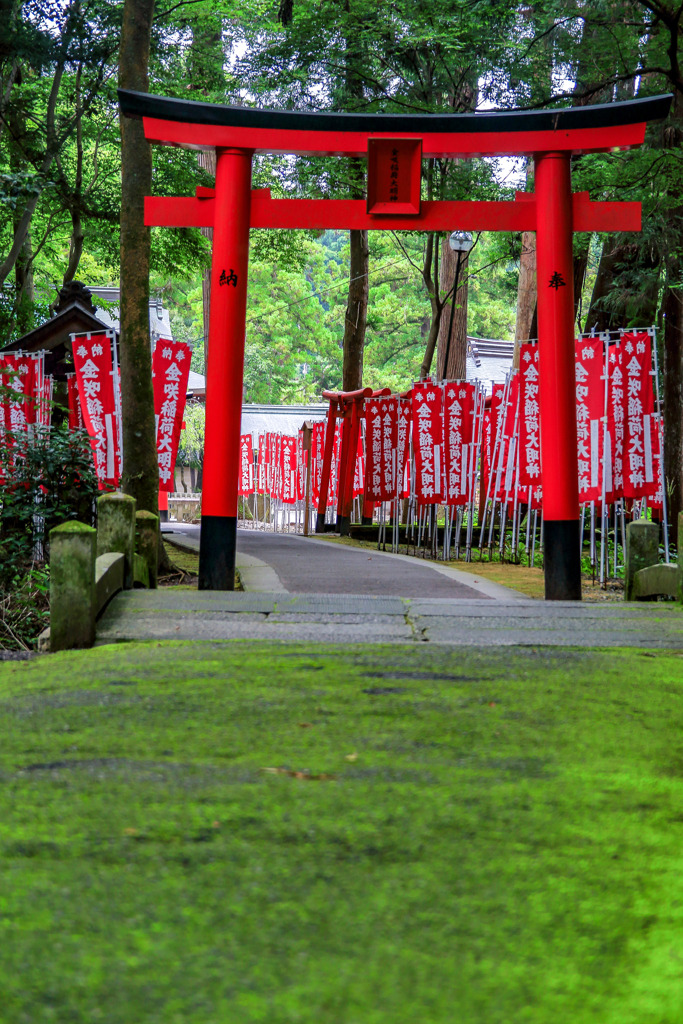 苔むす裏参道