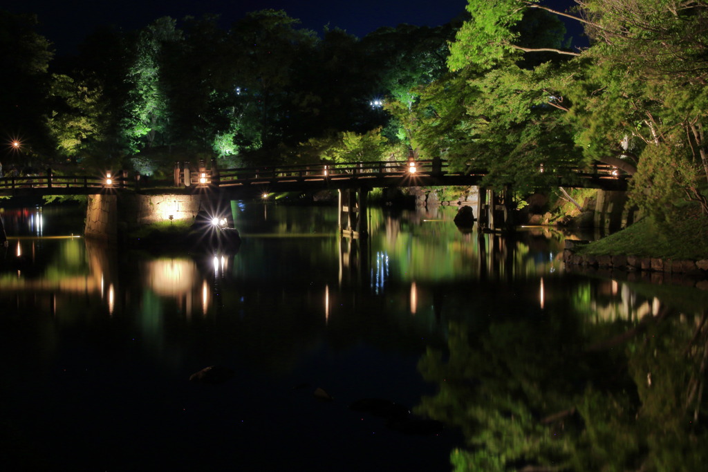 Hikone Castle night view②～Color