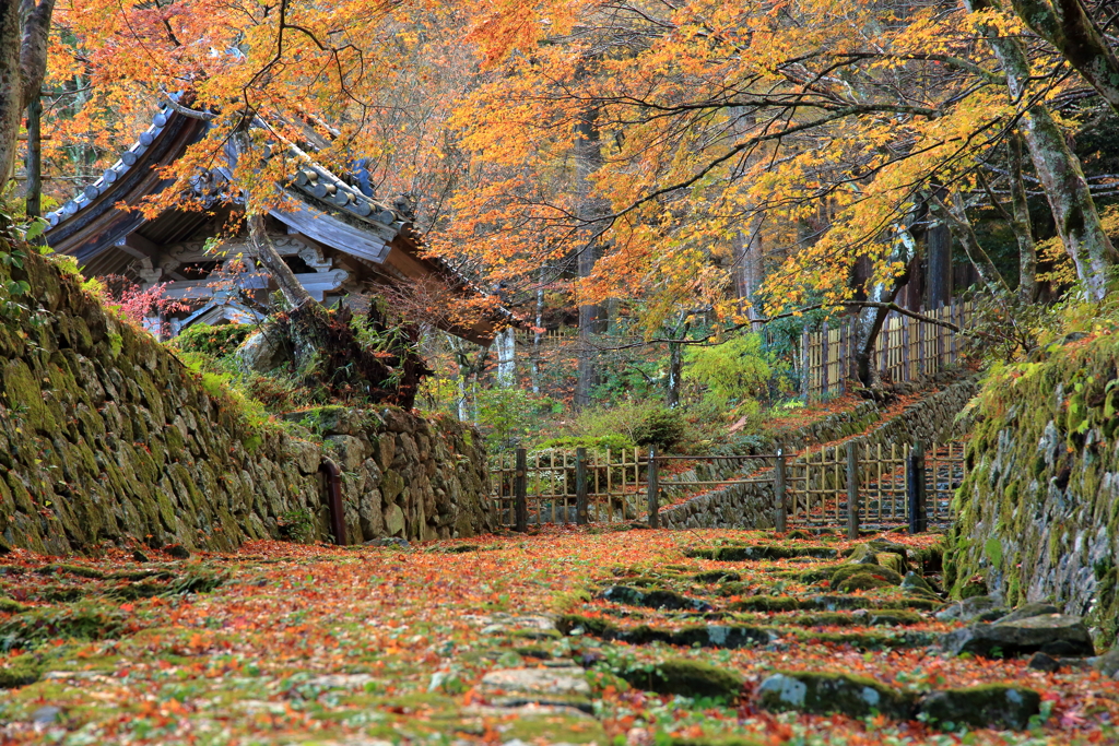 秋の百済寺