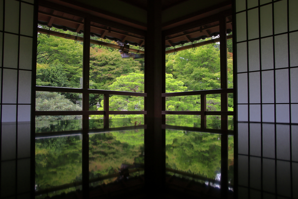 色付きかけのreflection②