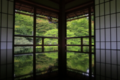色付きかけのreflection②