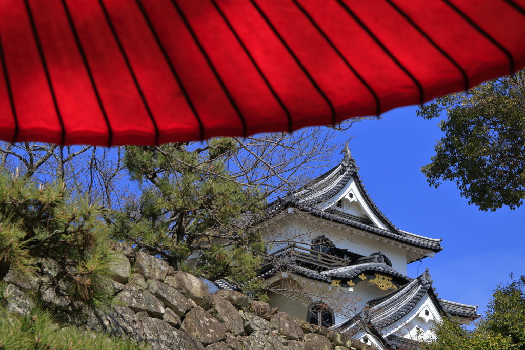 野点傘から覗く風景