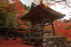 秋、東光寺