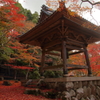 秋、東光寺