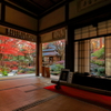 Temple of autumn leaves②～書院より