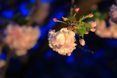 ありのままに