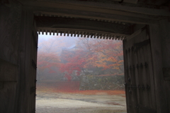 秋霧の門