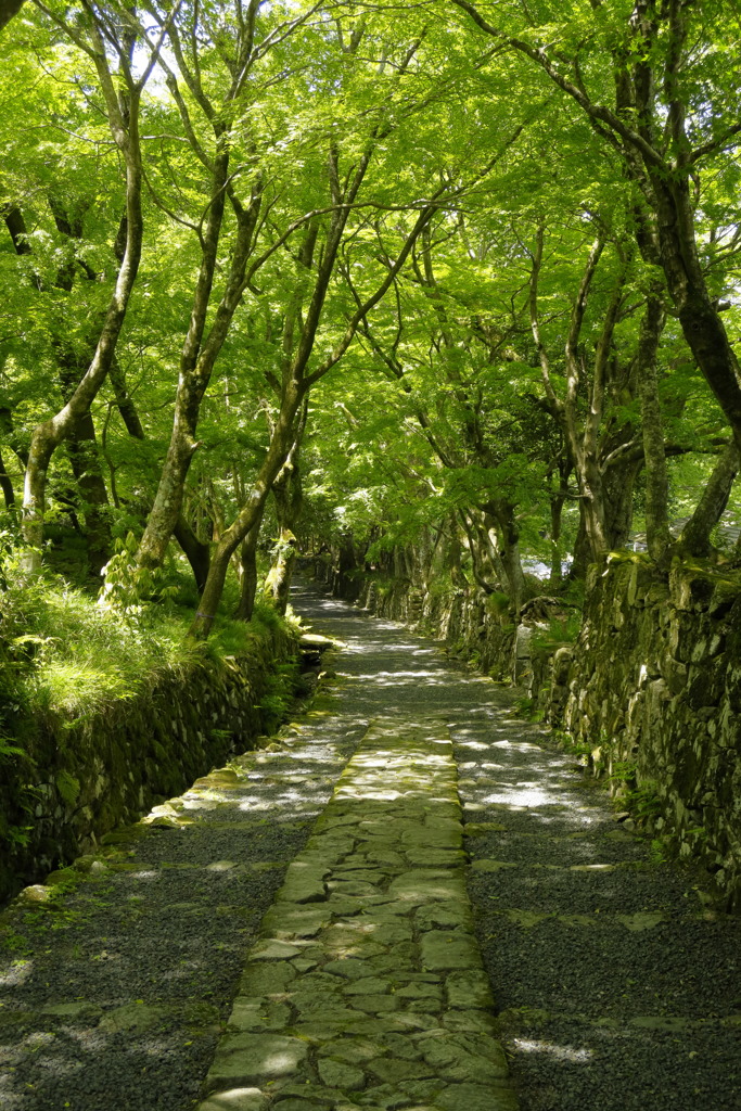 帰りの参道