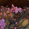 春早く来てね。私のところへ。