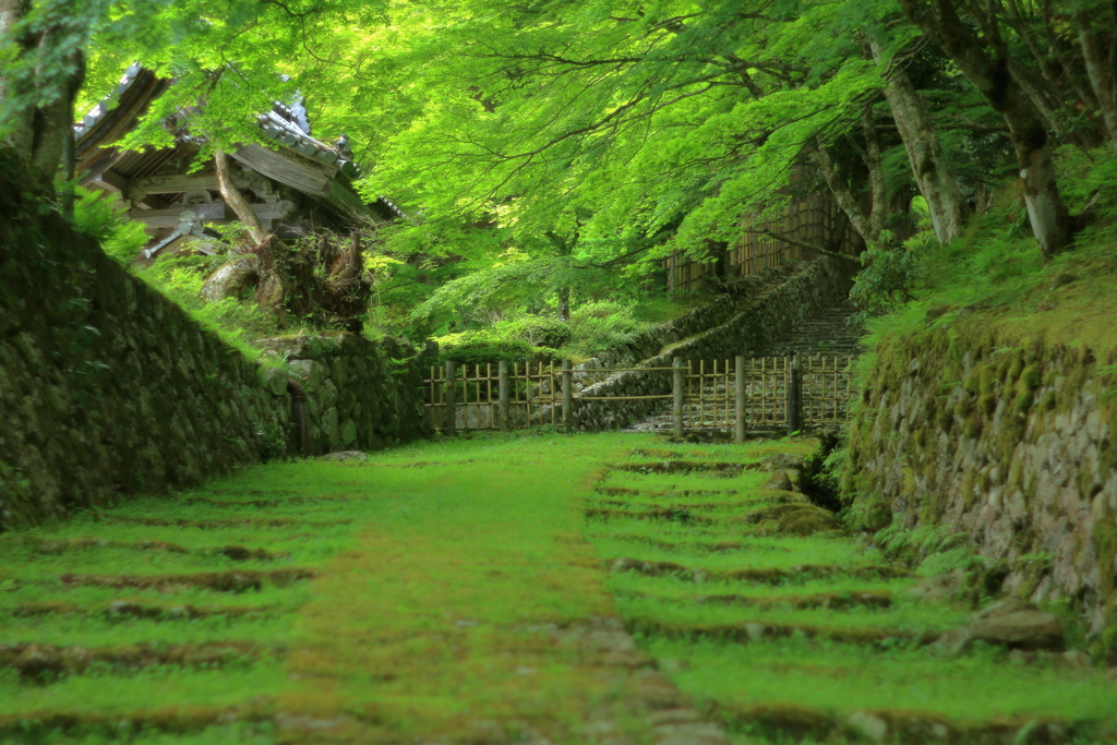 歴史道
