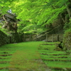 歴史道