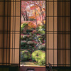 Temple of autumn leaves⑥～掛軸庭園