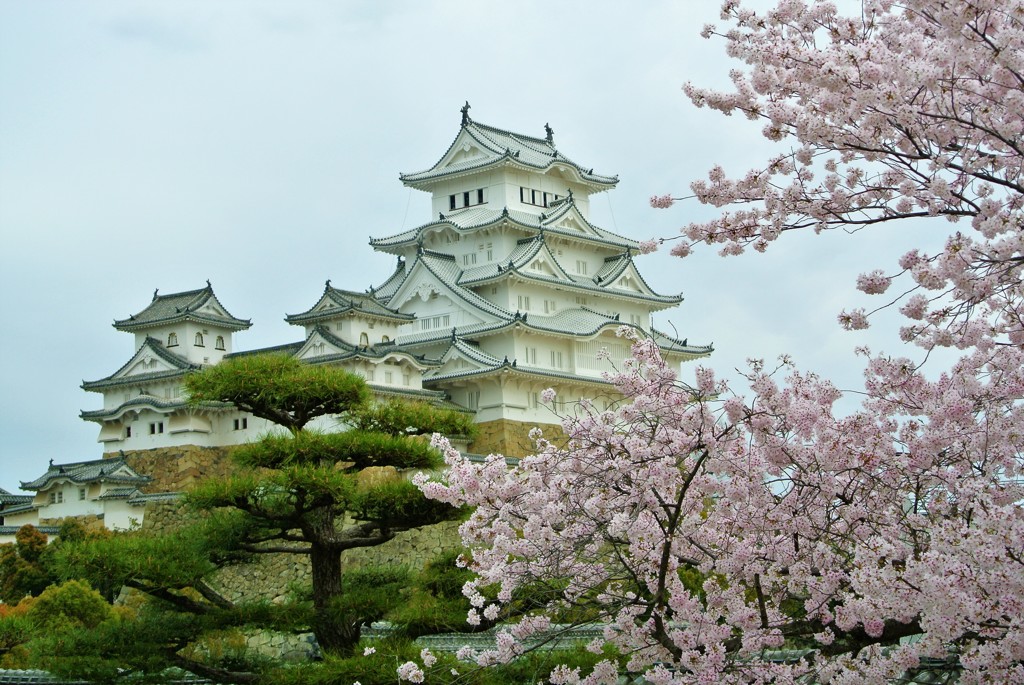 桜と白鷺城