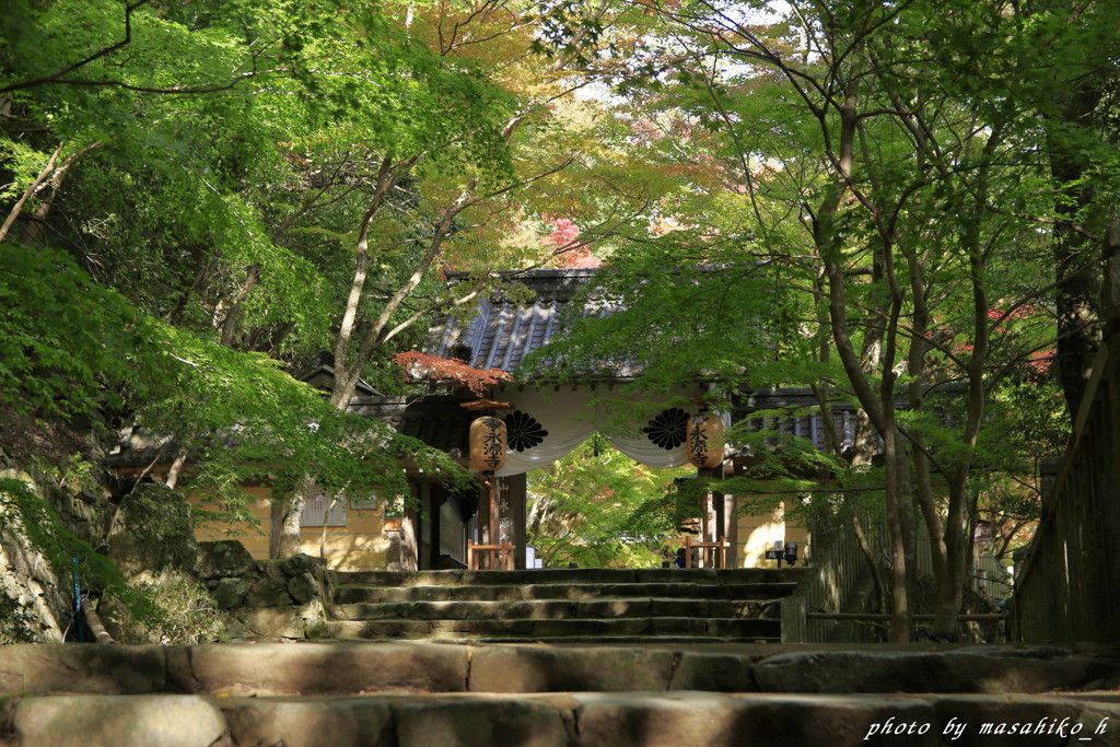 色付き始めの山門