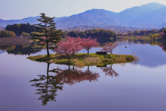 八重の小島