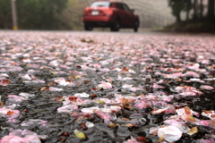 雨のち必ず晴れ！