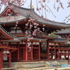 初春の令月にして、気淑く風和はらぎ。