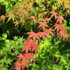 夏の終わり