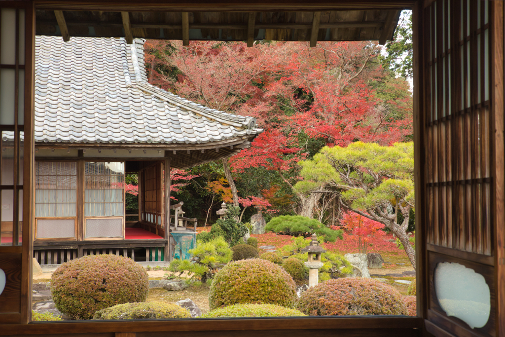 行基寺の紅葉