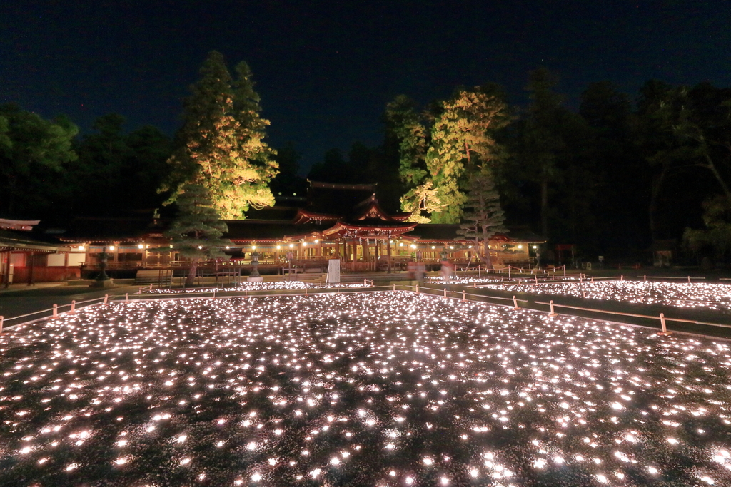 神あかり～神々の夜宴～