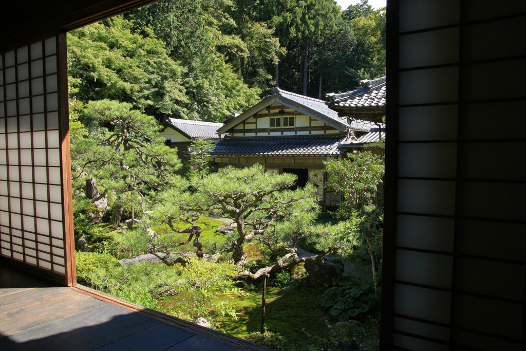 名勝庭園を書院から