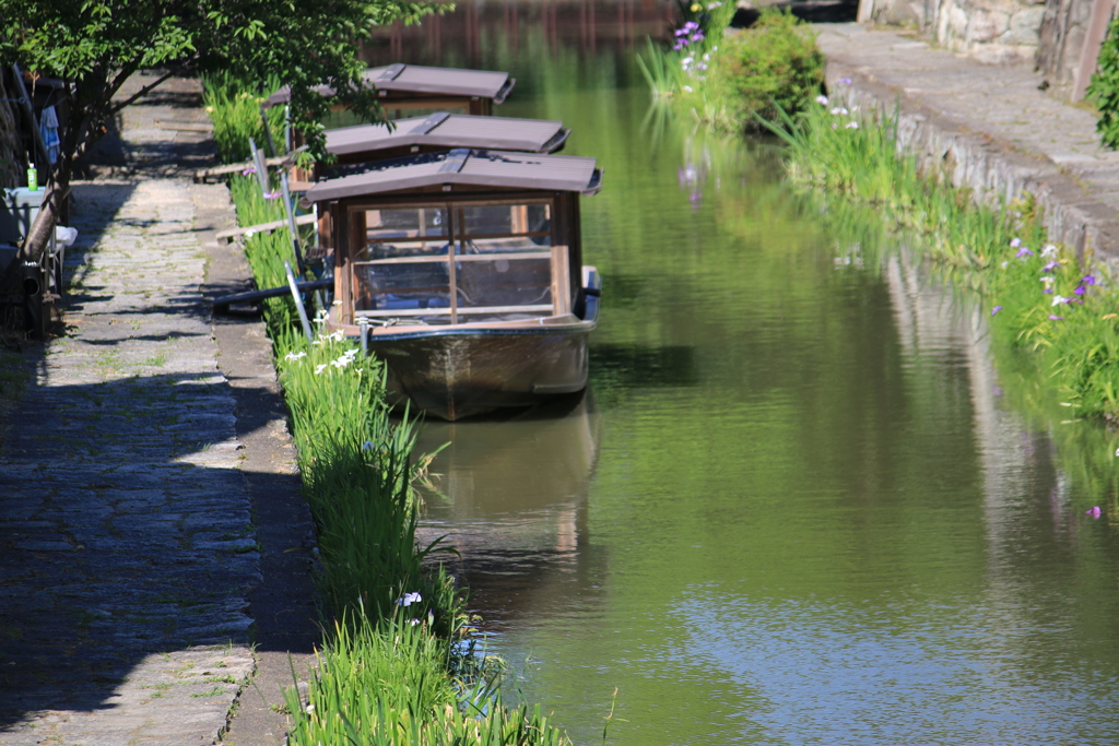 何処かで見た風景