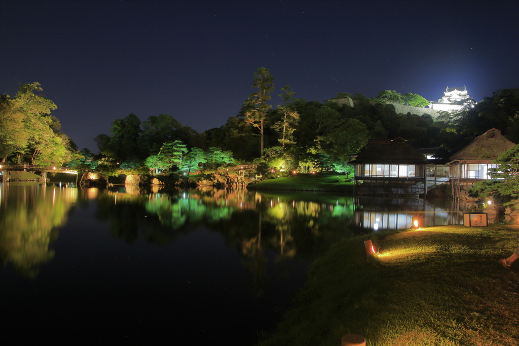 Hikone Castle night view