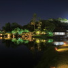 Hikone Castle night view