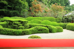 蓬莱庭園　①
