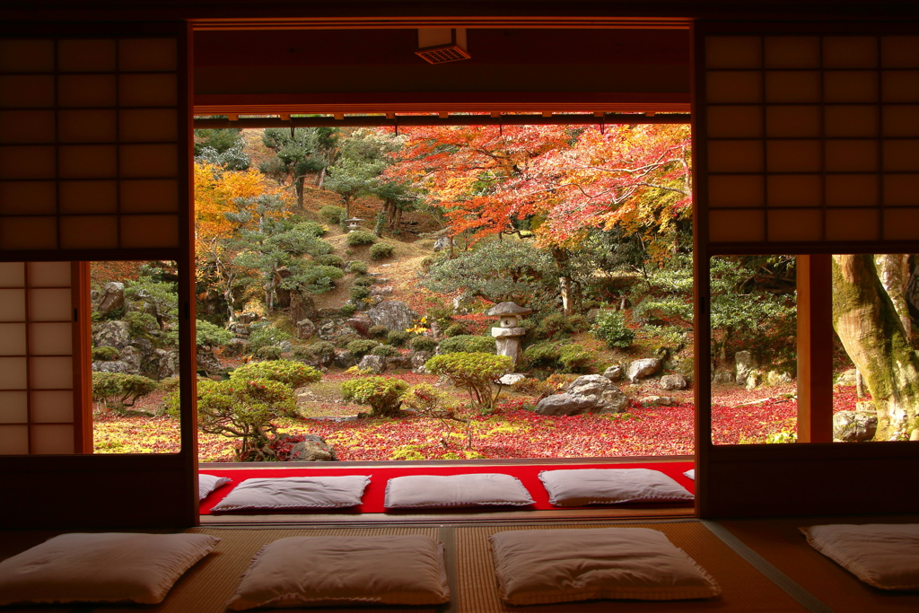 清瀧寺徳源院の秋～額縁庭園