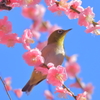 上を向いて