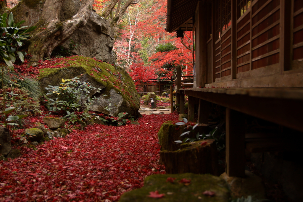 紅い路