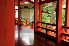 赤