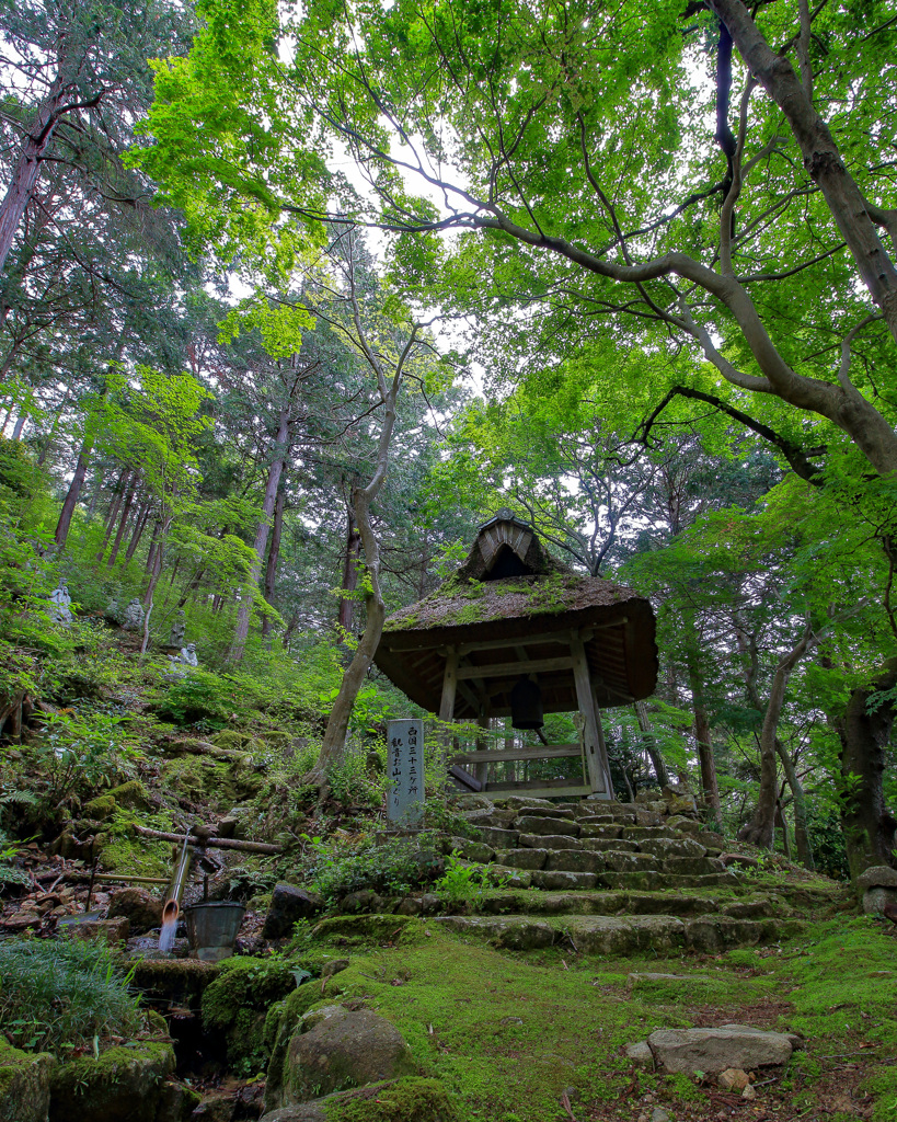 緑の静寂
