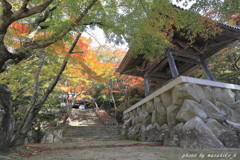 山寺の秋