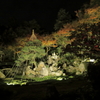 彩の夜③