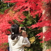 華紅葉～ええの撮れました？