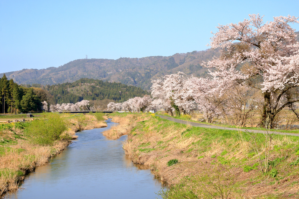 春の小川