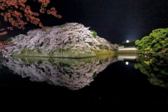 桜の城②