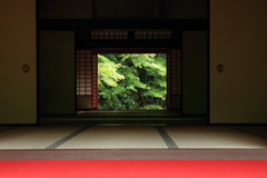 The Art of Japanese Temple&Garden