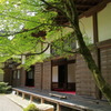お勧め時期