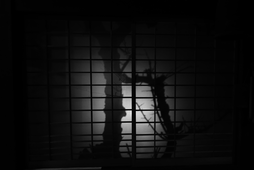 影画アソビ