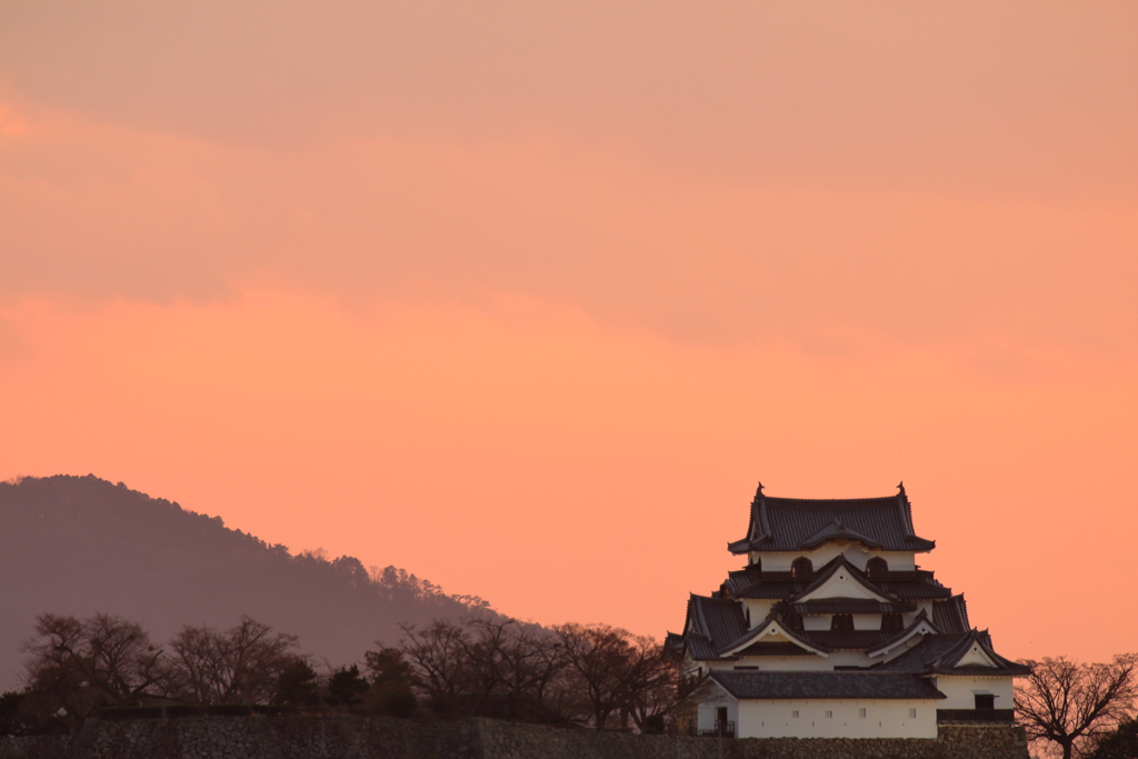 彦根城夕景