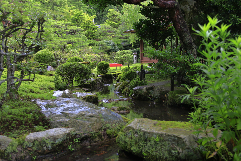 雨の楽園