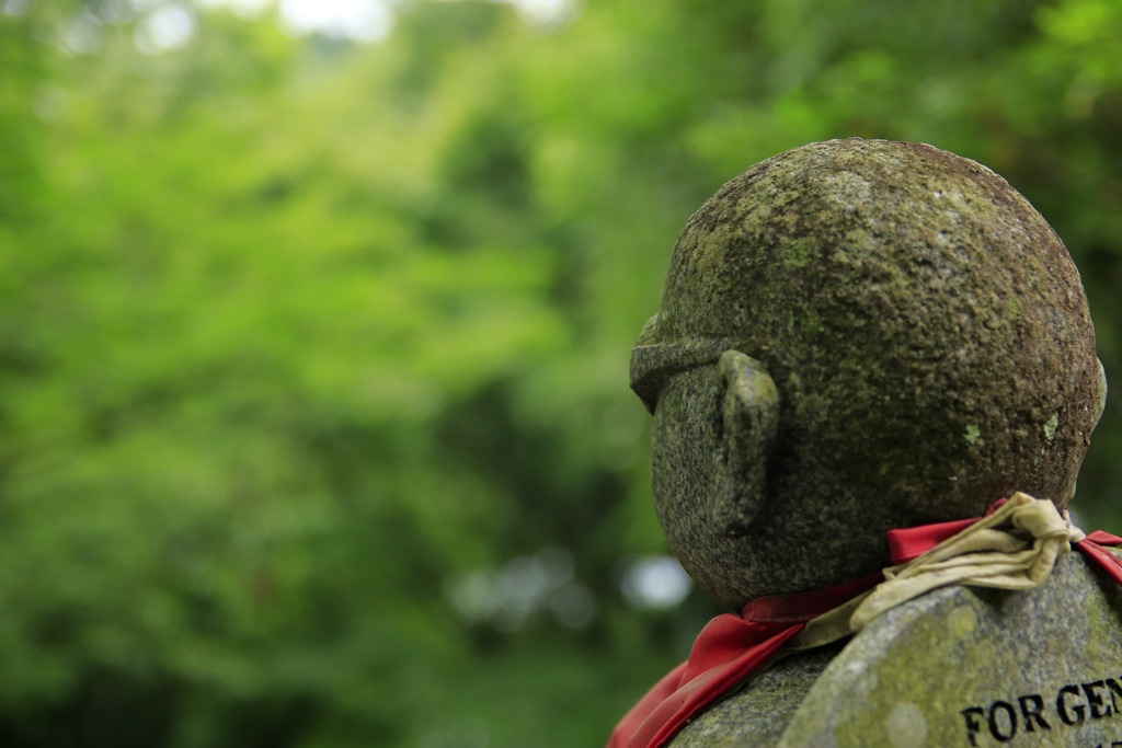 永源寺～見つめる先は？