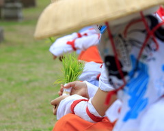 お田植祭⑤～伊邪那岐大神さまへ