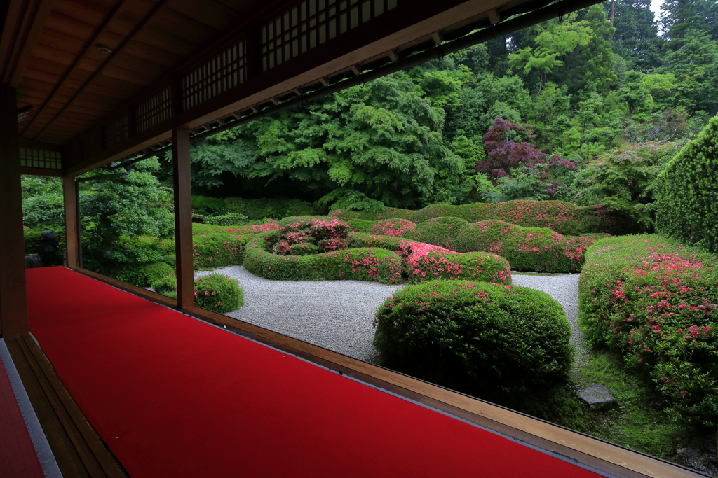 サツキの庭園