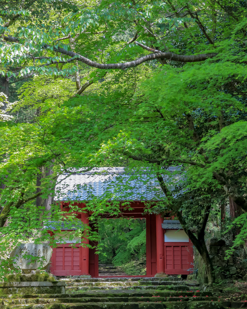 緑の赤門